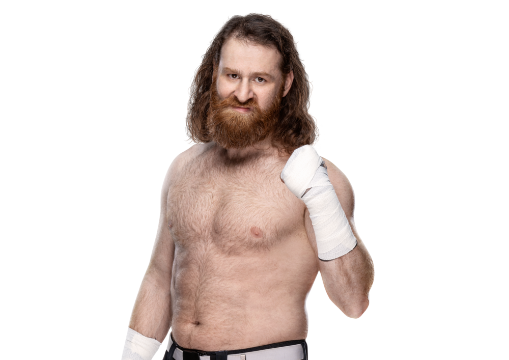 Photo de Sami Zayn